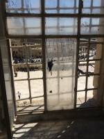 View of western wall and Temple Mount from Police Base company C. Photograph: Lilly Wei.